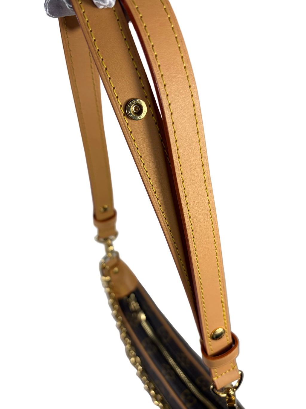 Louis Vuitton Loop Handbag
