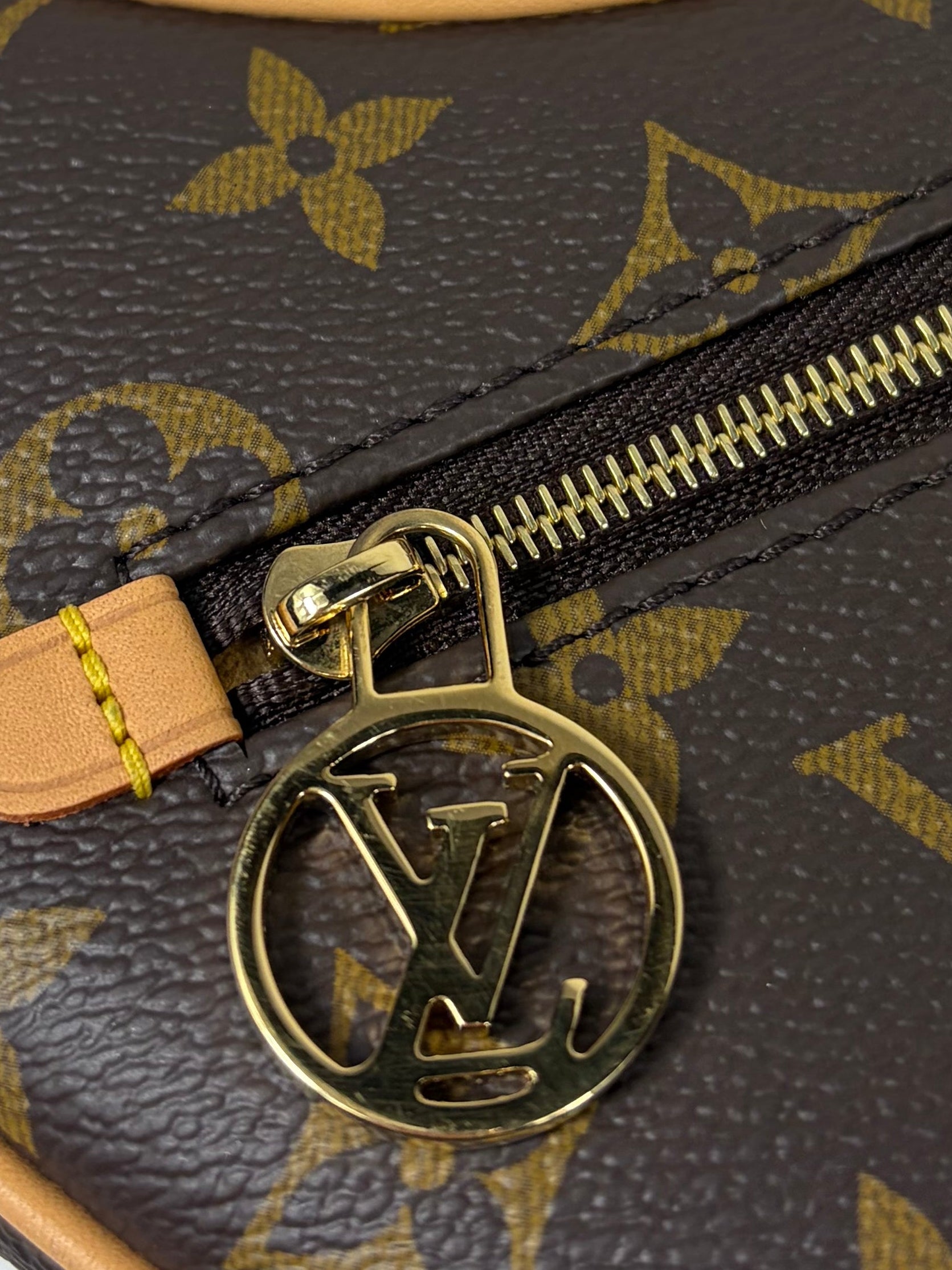 Louis Vuitton Loop Handbag
