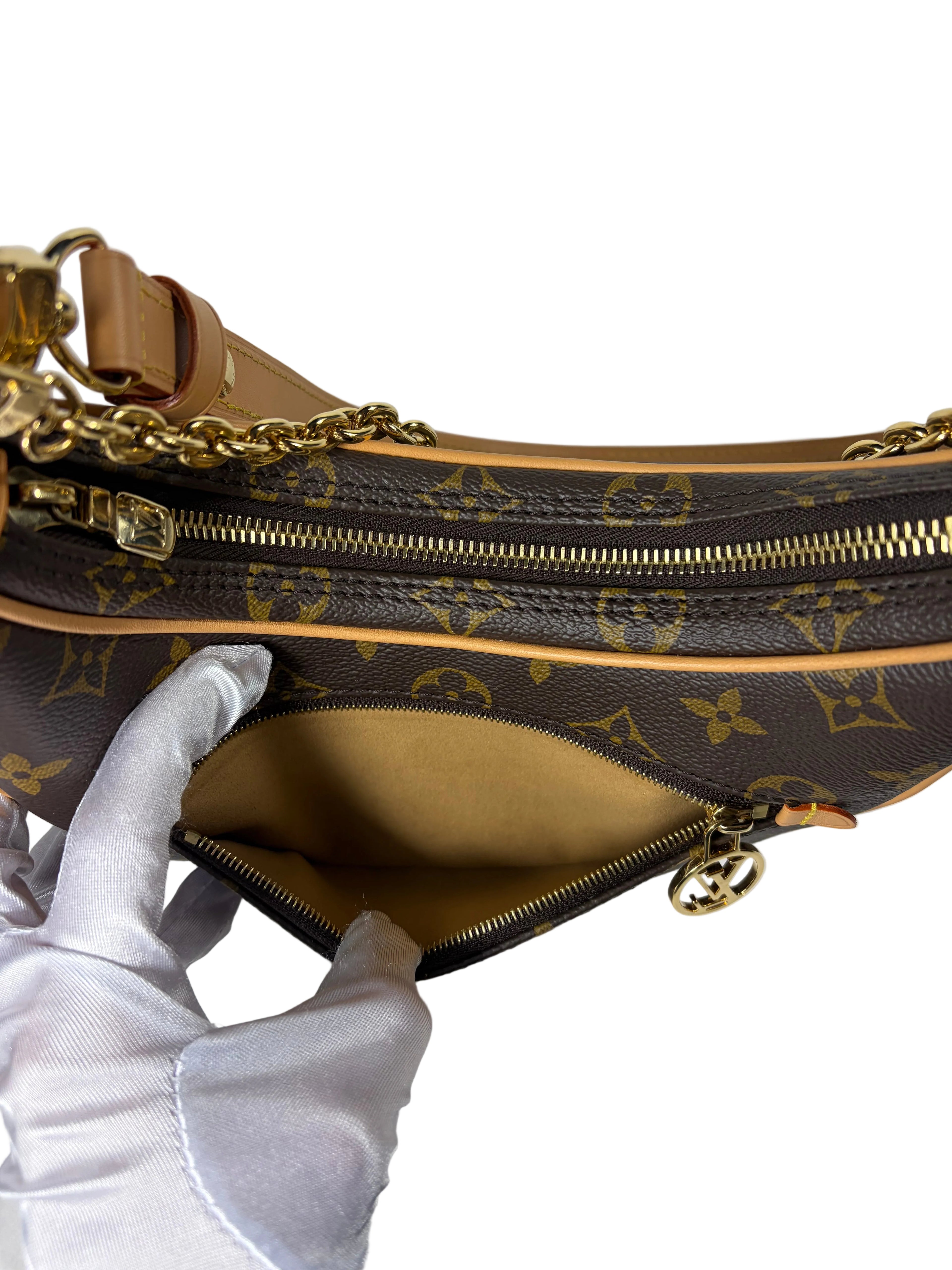 Louis Vuitton Loop Handbag