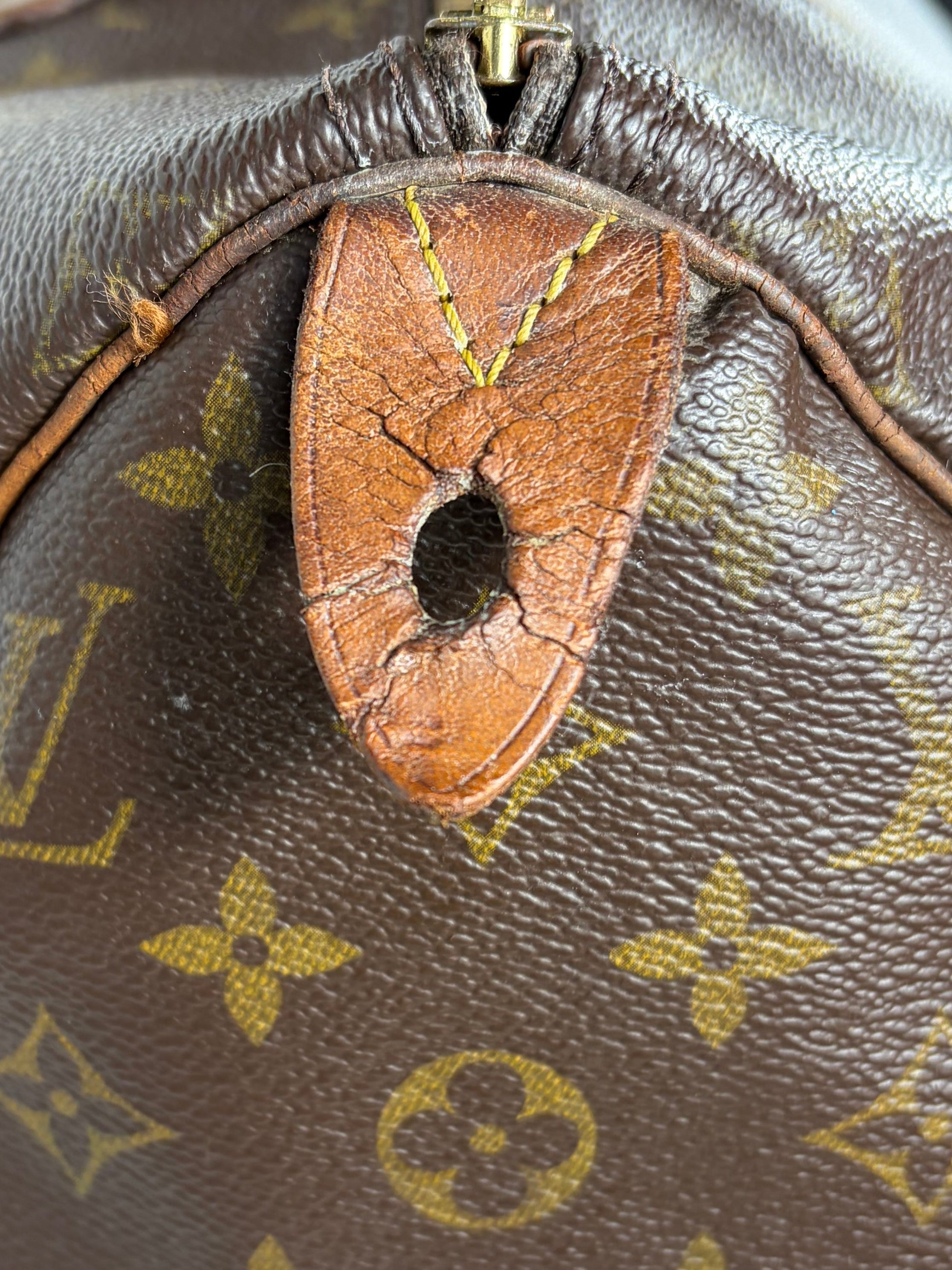 Louis Vuitton Monogram Speedy Handbag