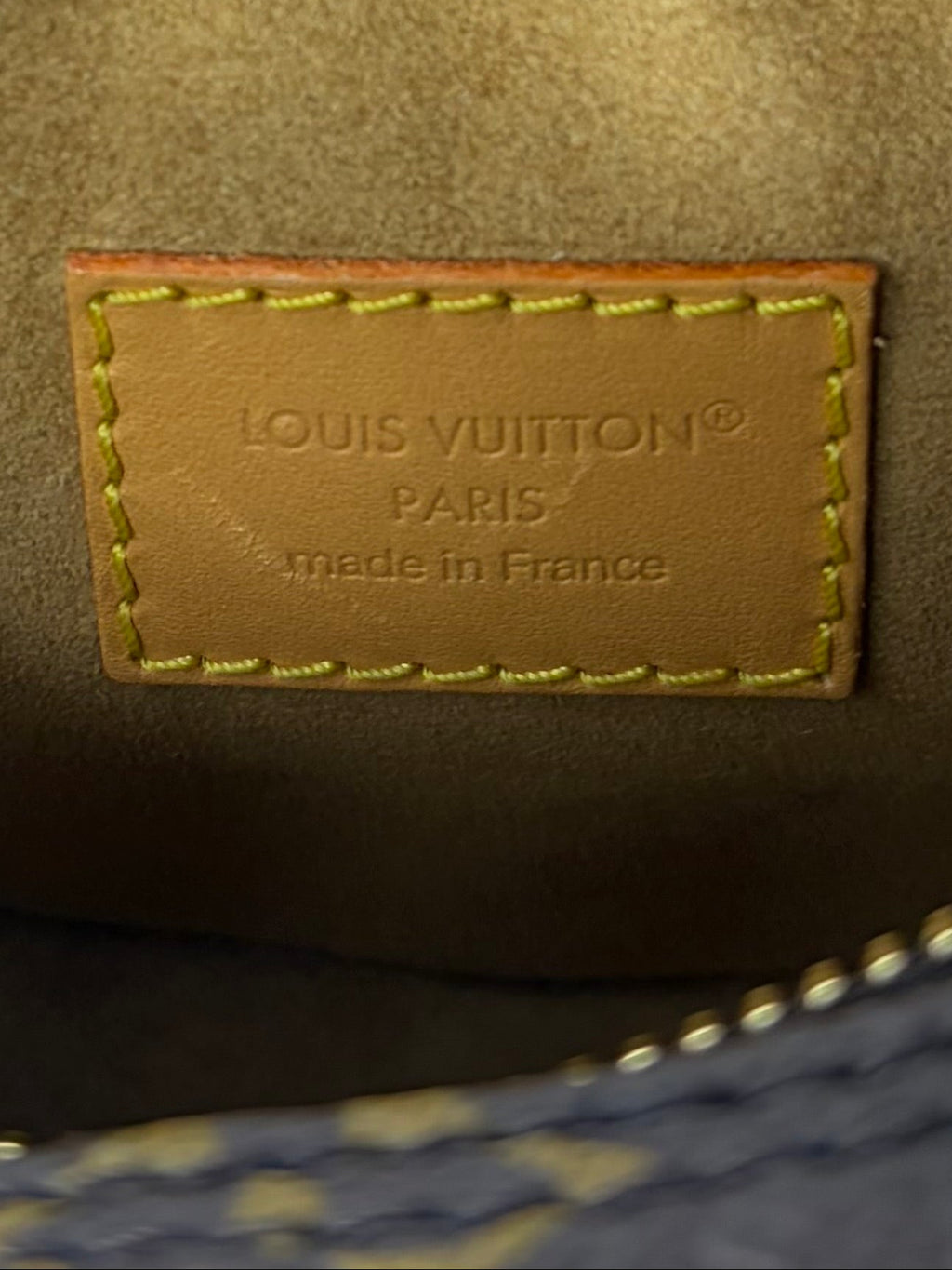 Louis Vuitton Loop Handbag