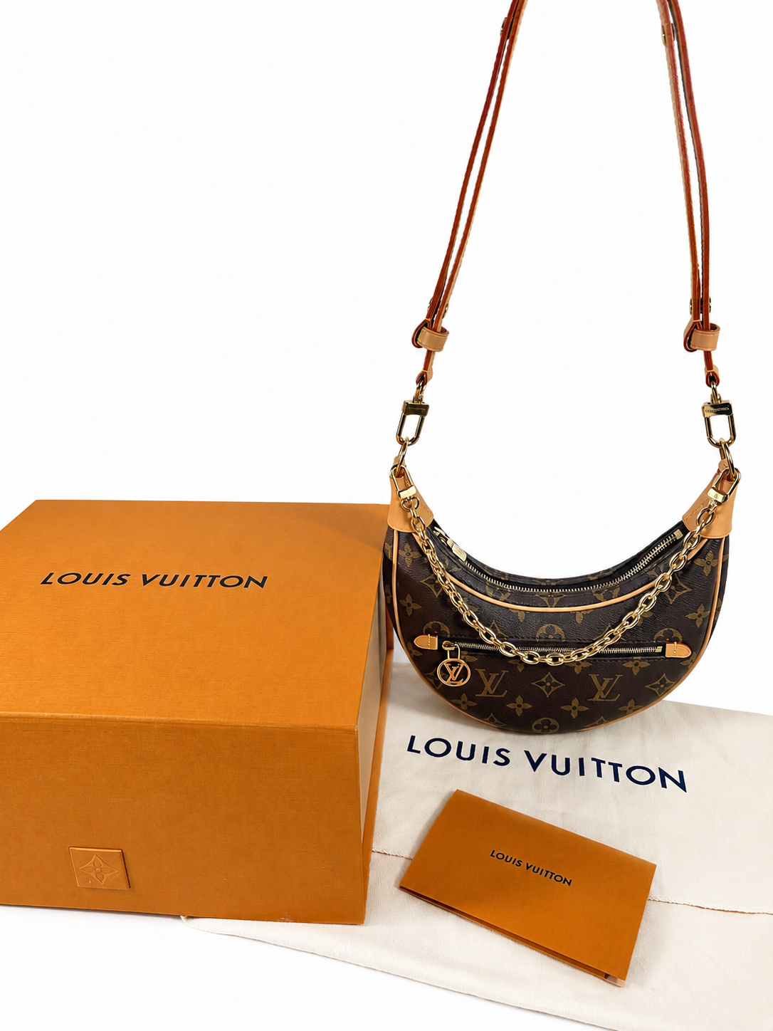 Louis Vuitton Loop Handbag