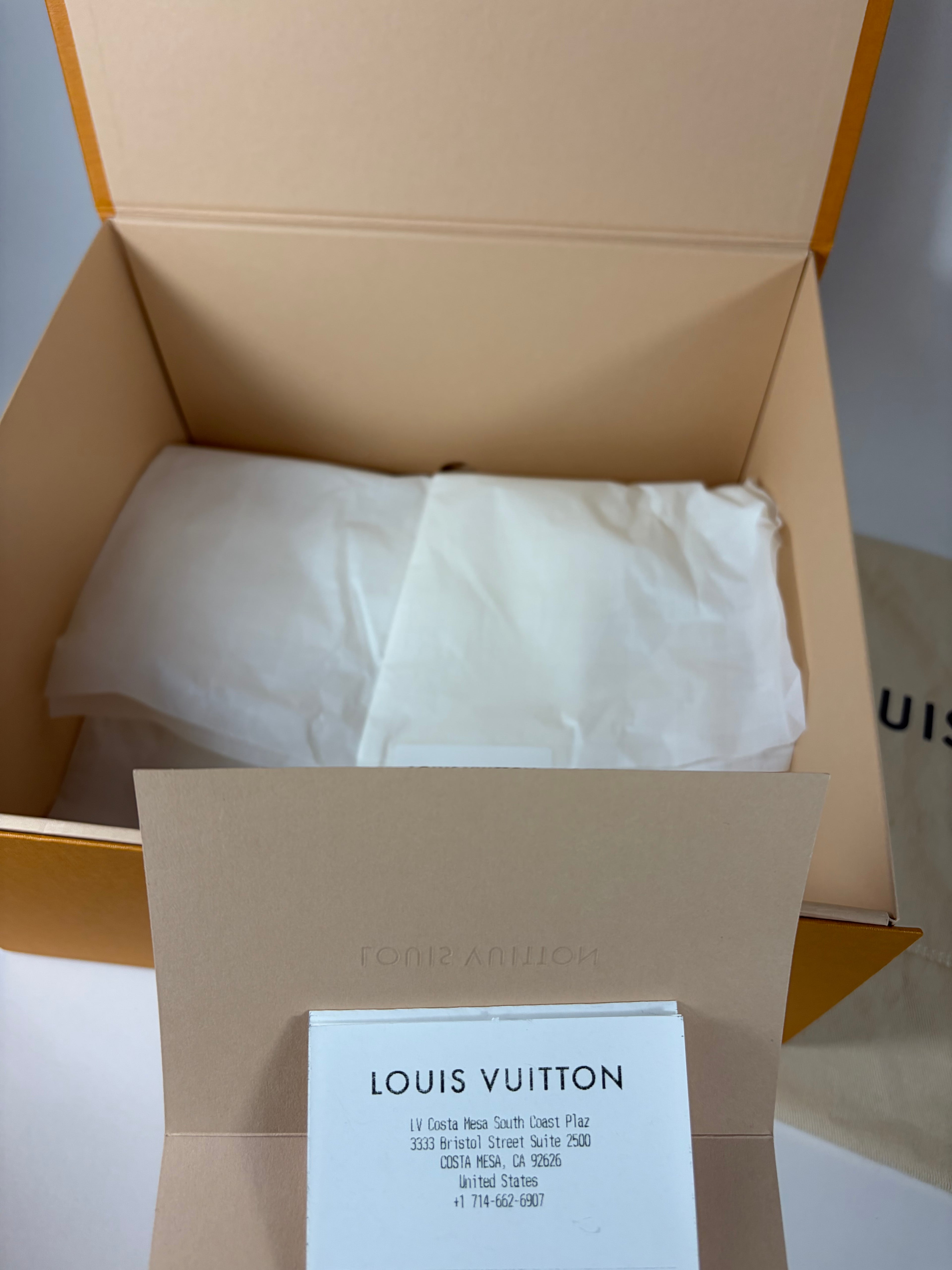 Louis Vuitton Loop Handbag