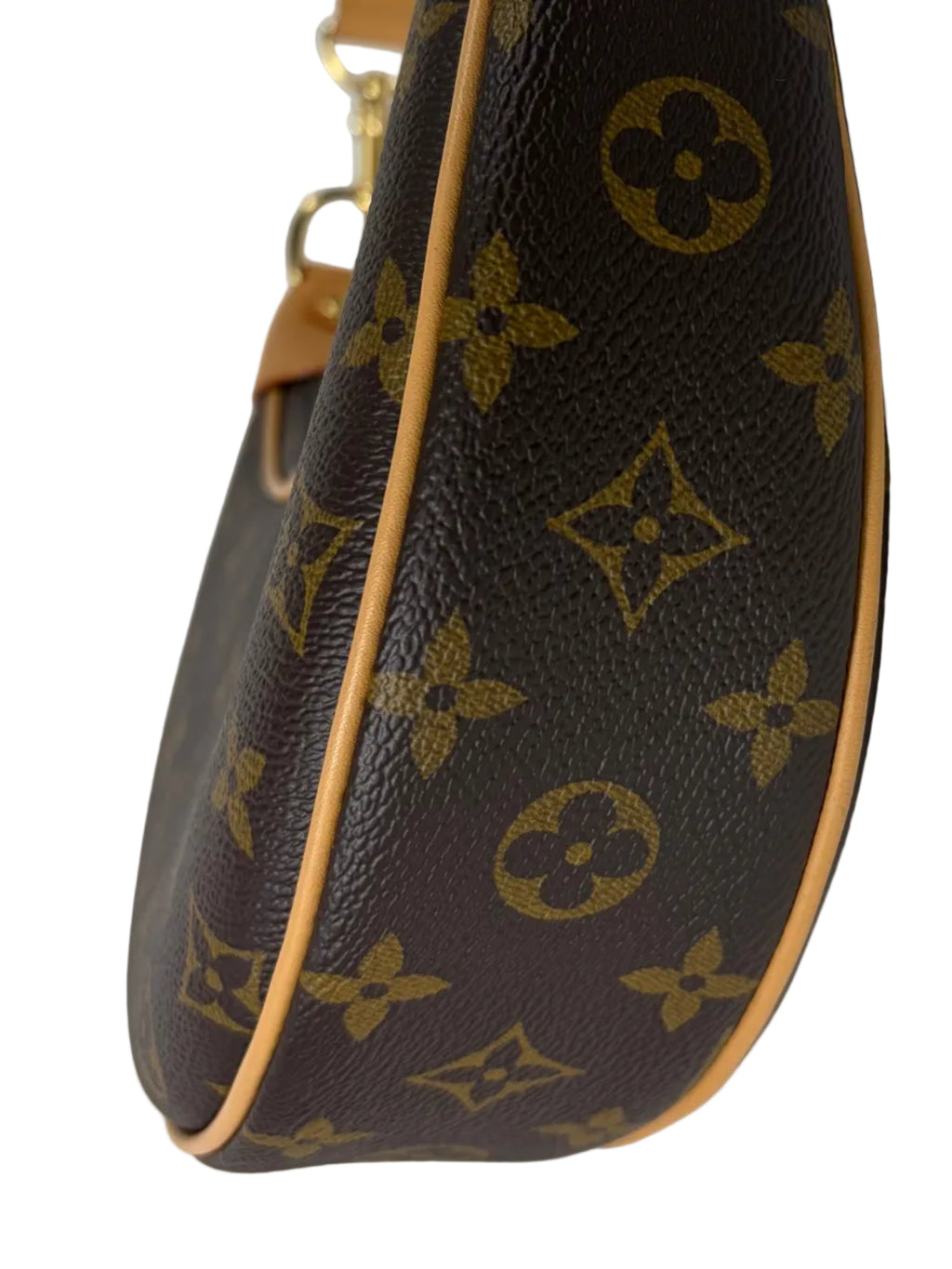 Louis Vuitton Loop Handbag