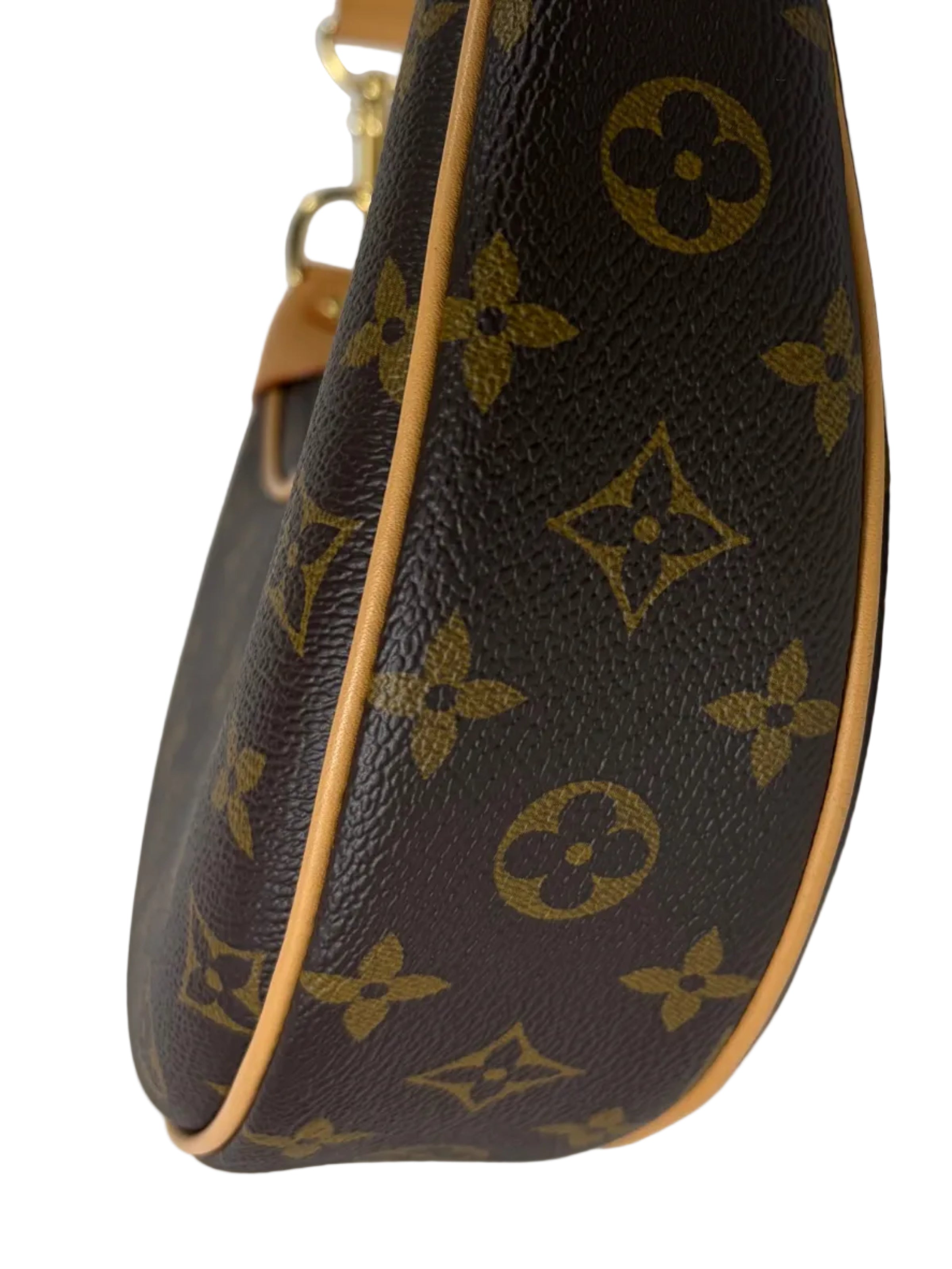 Louis Vuitton Loop Handbag